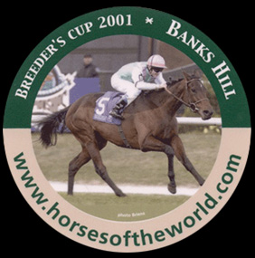 Breeder's cup 2001 - Banks Hill - www.horsesoftheworld.com