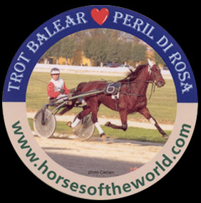 Trot Balear - Peril Di Rosa - www.horsesoftheworld.com