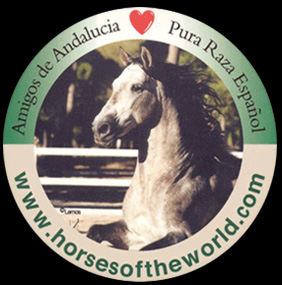 Amigos de Andalucia - Pura Raza Espanol - www.horsesoftheworld.com