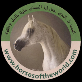 Pur-Sang Arabe - www.horsesoftheworld.com