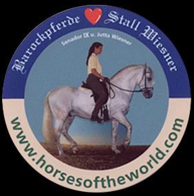 Barockpferde - Stall Wiesner - www.horsesoftheworld.com