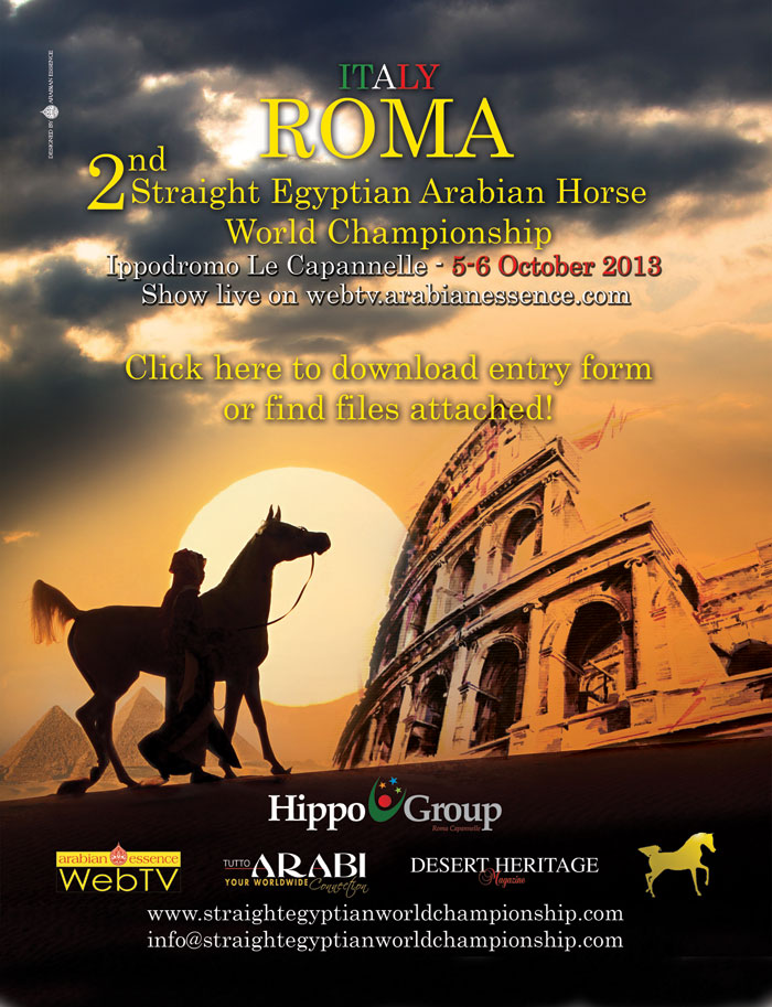 2nd World Straight Egyptian Championship - ROMA 2013