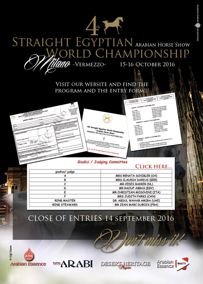 Straight Egyptian World Championship. Milano-Vermezzo.