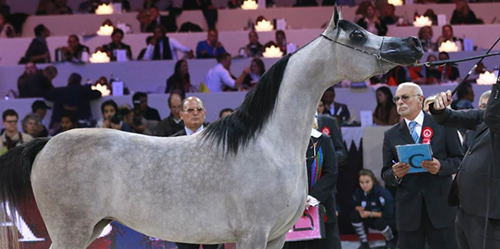 Championnat du Monde de Paris-Nord Villepinte 2015