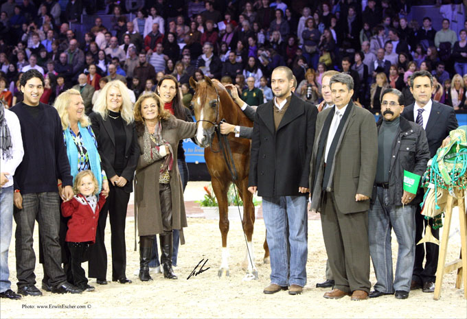 Qatar, lors du Championnat du Monde  Paris, o il fut proclam  Champion de la Triple Couronne 2009 . On reconnait derrire Marieta Salas qui caresse le poulain dont elle est lleveur, Antonia Salom, prcieuse collaboratrice de Ses Planes. A ct de Philipp Looyens, handler et entraneur, le propritaire dAbha Qatar, le prince Abdullah bin Fahd Al Saud pose en compagnie de son team venu dArabie Saoudite.