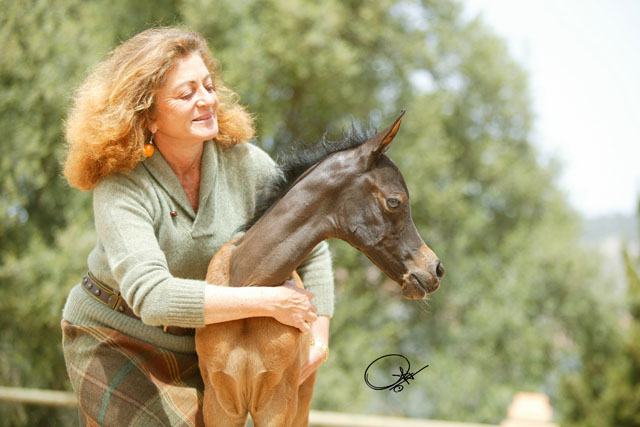 Marieta Salas has been present at the birth of 800 foals in her life.