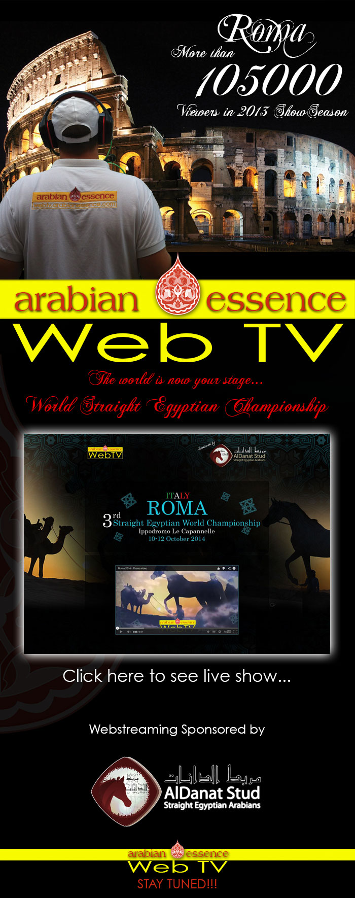 Roma 2014 World Straight Egyptian Championship