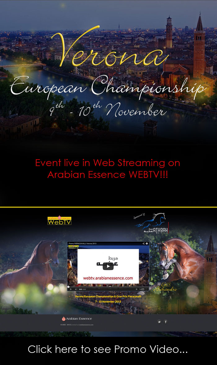 European Championship - VERONA 2013