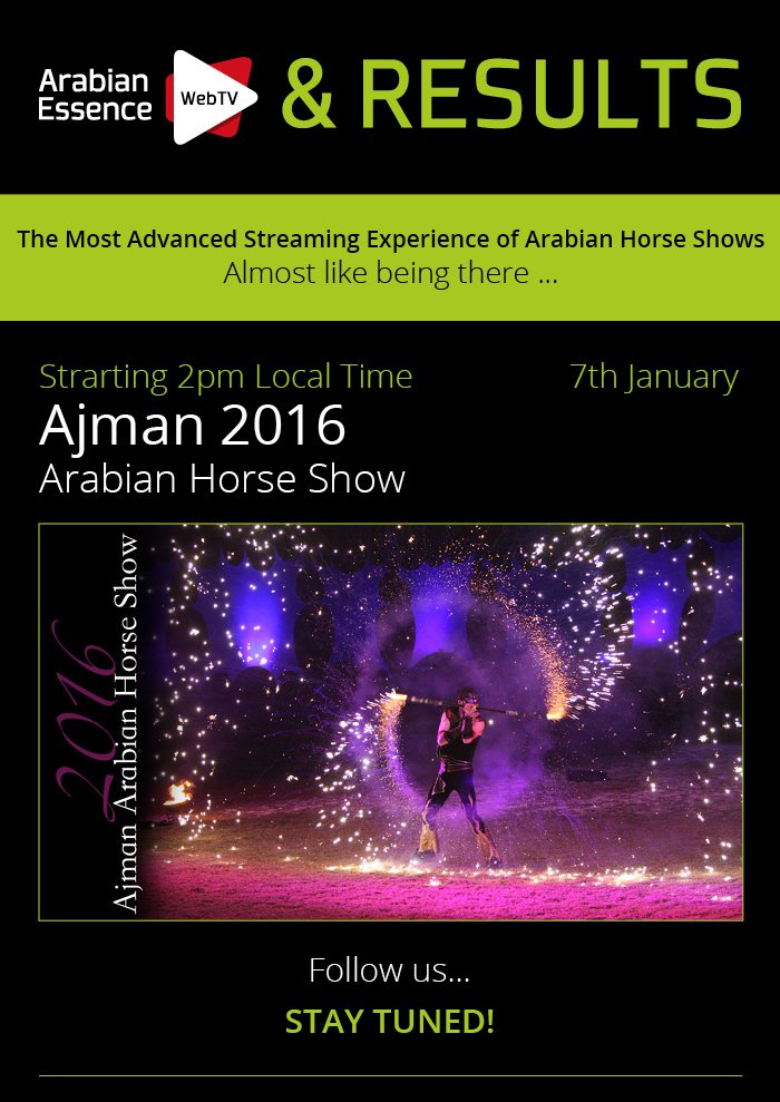 AJMAN HORSE SHOW (Emirats Arabes Unis) 2016