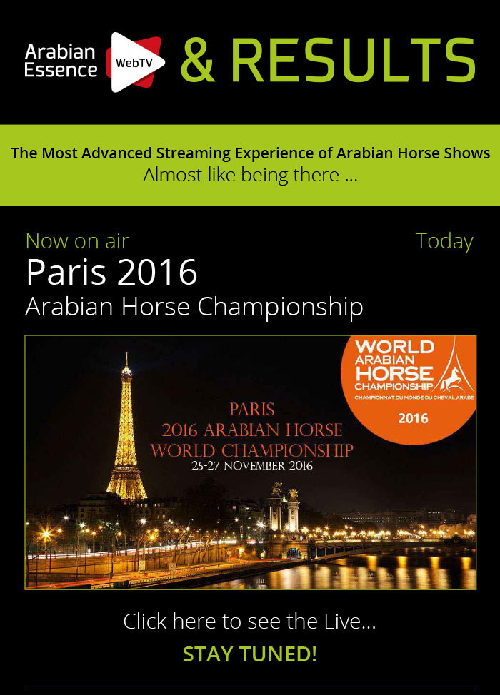 Championnat du Monde du Cheval Arabe de Show. Paris, 25-27 novembre 2016.