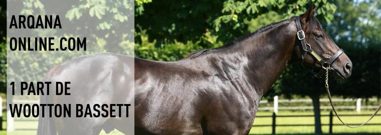 ARQANA - La dernire part disponible de Wootton Bassett en vente sur ARQANA Online.