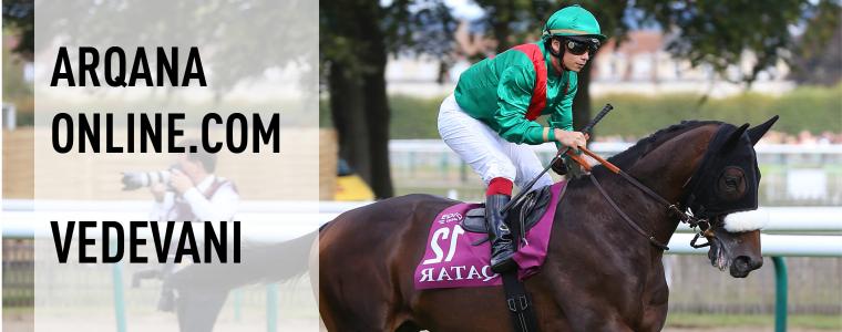 ARQANA ONLINE - VEDEVANI ADJUG 800.000€  CHANTILLY BLOODSTOCK AGENCY