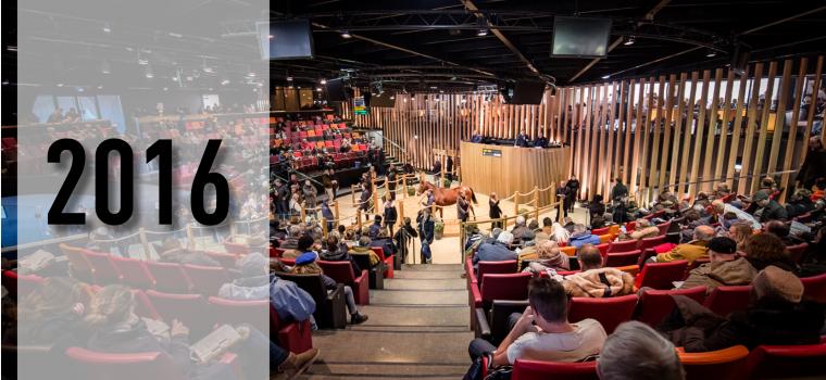 Ventes ARQANA: bilan de la saison 2016: une année très positive pour les ventes aux enchères de pur-sang en France.