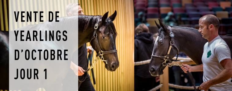 ARQANA - Une premire partie record pour la Vente de Yearlings d'Octobre 2016