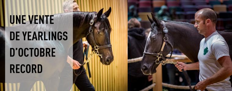 ARQANA - Rsultats de la  dernire journe de Vente ARQANA de Yearlings d'octobre 2016.