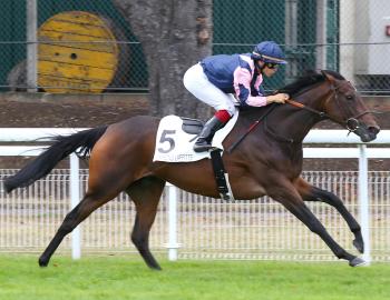 Vente de l'Arc, 1er octobre 2016, Chantilly, BANZARI