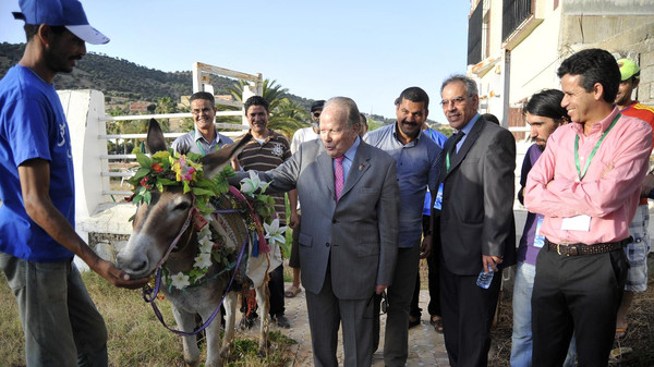 Festival marocain de Beni Ammar 2014