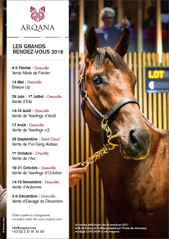 AGENDA 2016: les dates importantes des ventes ARQANA