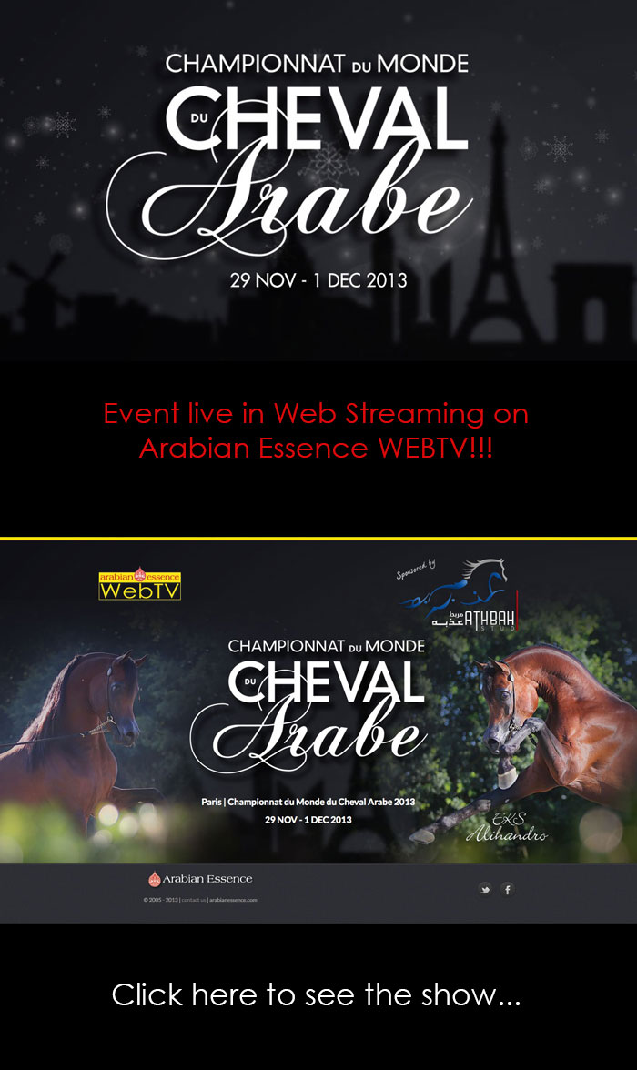 Championnat du monde du cheval Arabe - Paris 2013