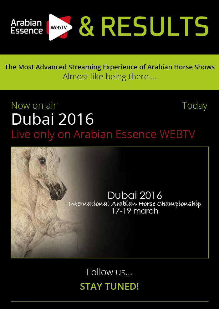 DUBAI 2016 ARABIAN HORSE CHAMPIONSHIP - WEBTV live now 17-19 March 2016