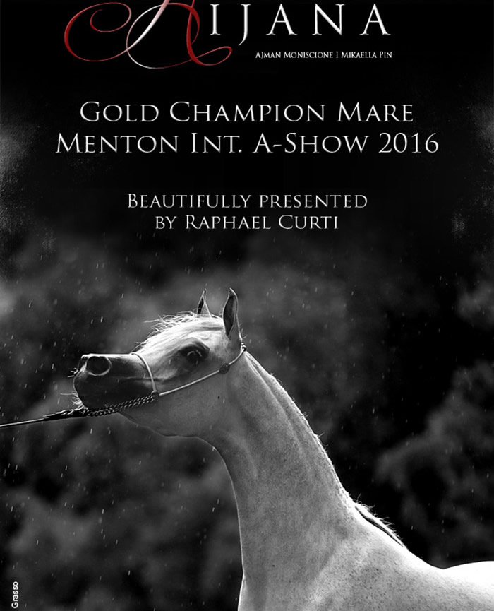 Celebrating Egypt's first Menton Gold Champion 2016