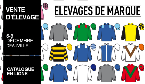 Vente ARQANA d'levage  Deauville 2015