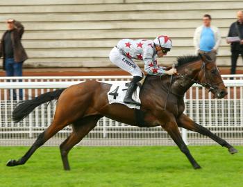 Vente de l'Arc, 1er octobre 2016, Chantilly, FOURIOSO