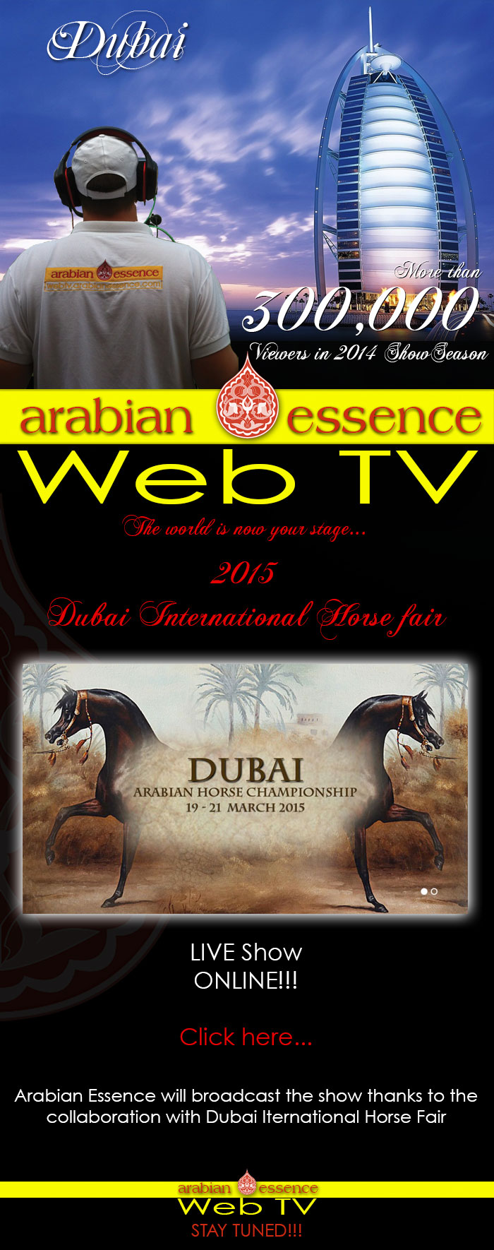 Dubai International Arabian Horse Championship 2015