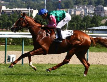 Vente de l'Arc, 1er octobre 2016, Chantilly, JUSTWANTACONTACT