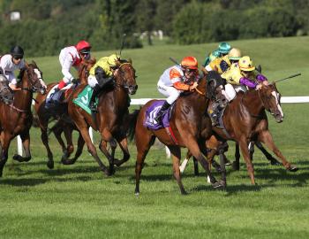 Vente de Yearlings d'octobre 2016, f. Kendargent x Lune Rouge