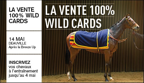 Comment inscrire un cheval  la vente ARQANA 100% Wild Cards du samedi 14 mai  Deauville