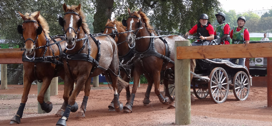 Rapports annuels 2014 & informations de la Confrence des Prsidents