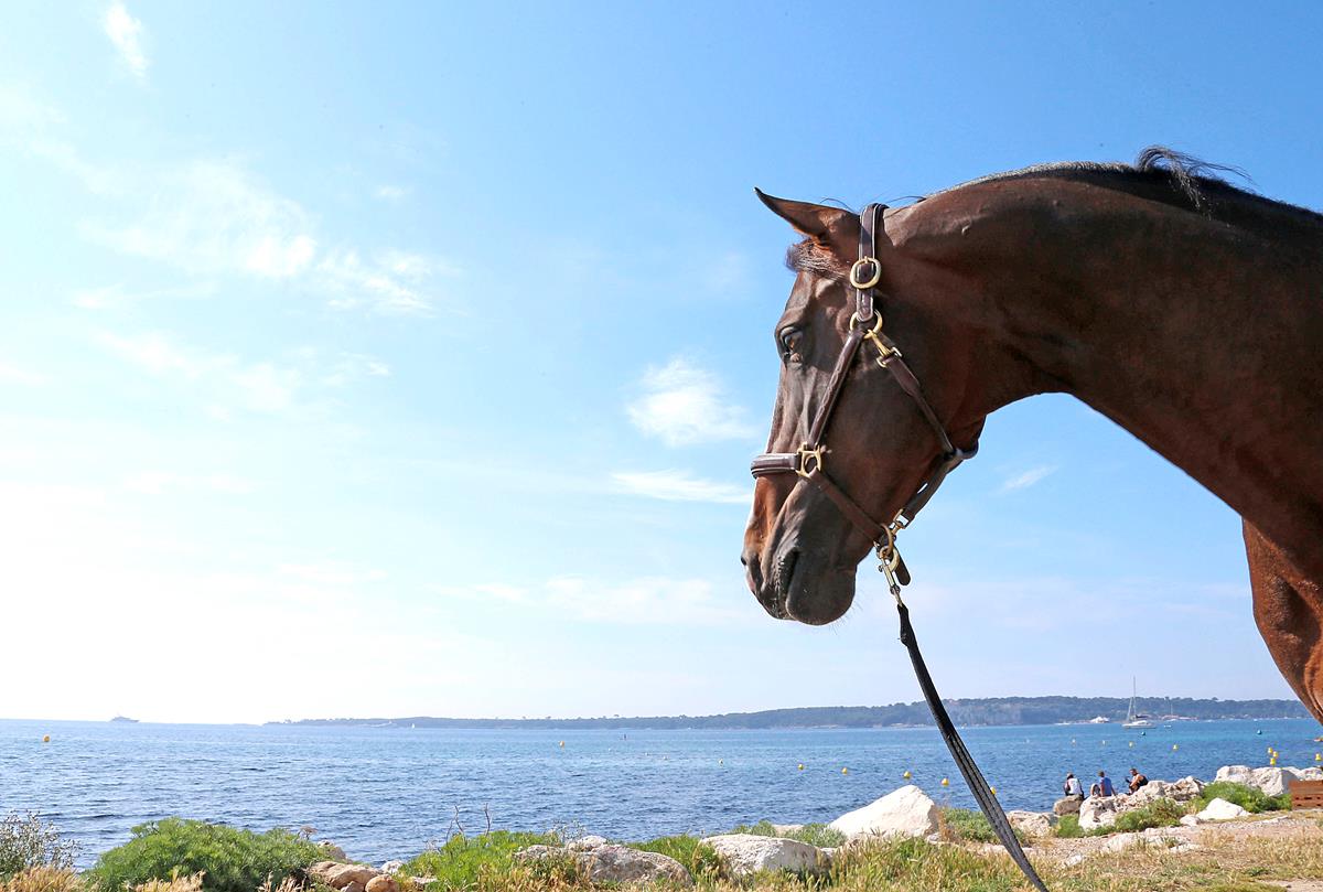 LGCT 2016: Show jumping’s hottest talent in action for LGCT.