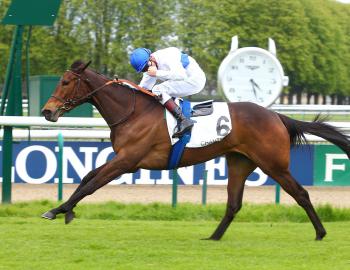 Vente de l'Arc, 1er octobre 2016, Chantilly, MANGO TANGO