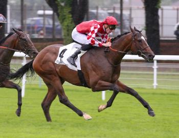 Vente de l'Arc, 1er octobre 2016, Chantilly, MAXIMUM AURELIUS