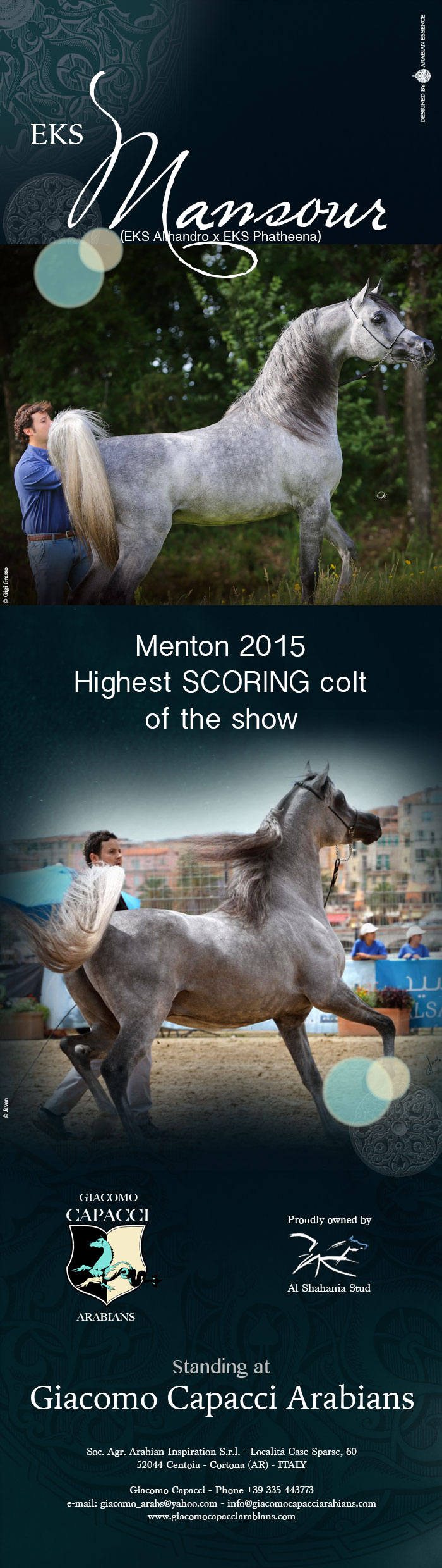 Al Shahania Stud et Giacomo Capacci Arabians - Menton 2015: EKS MANSOUR