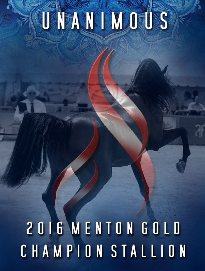 2016 Menton Gold Champion Stallion - Giacomo Capacci and Team