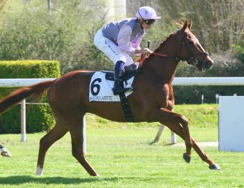 Vente de l'Arc, 1er octobre 2016, Chantilly, MOON TROUBLE