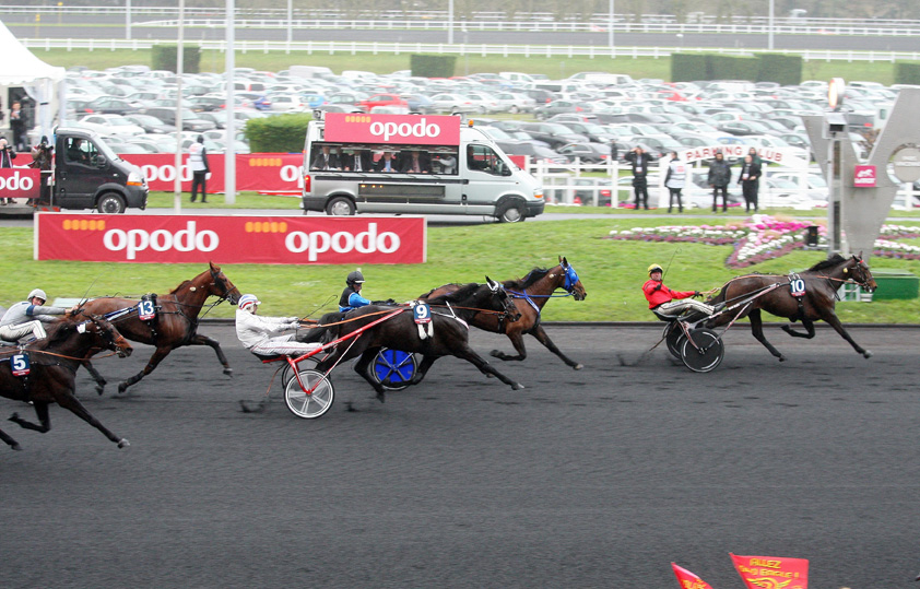 Bold Eagle remporte aisment le Prix d'Amrique Opodo 2016 devant le rgulier et mritant Timoko et la jument italienne leve chez Biasuzzi, Oasis Bi