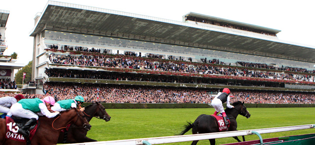 Le vainqueur GOLDEN HORN dans le Qatar Prix de l'Arc de Triomphe 2015