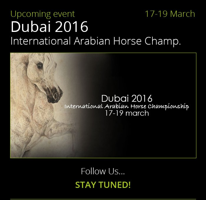 Pure Arabians shows 2016