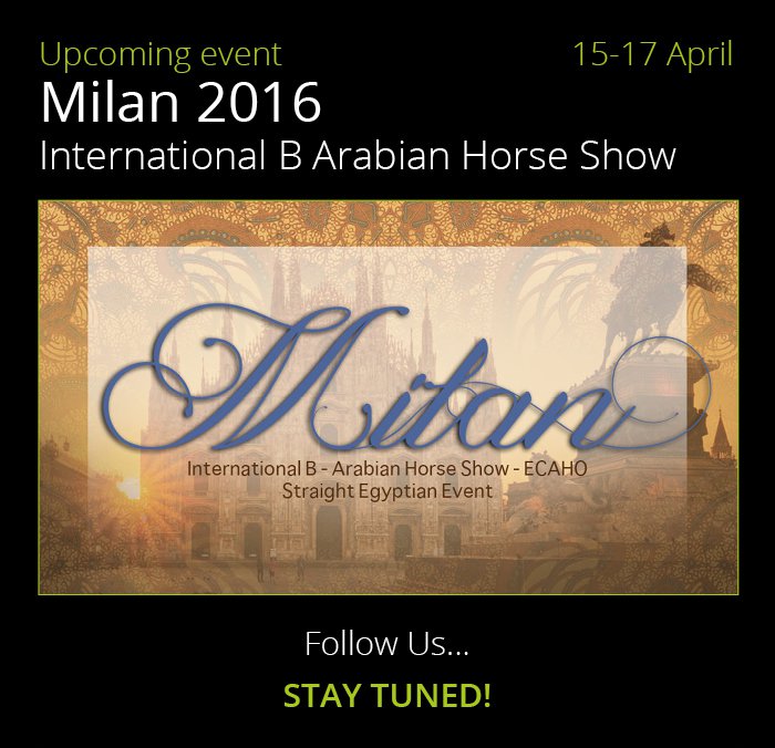 Pure Arabians shows 2016