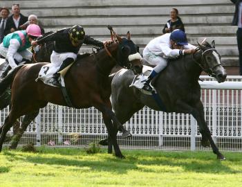 Vente de l'Arc, 1er octobre 2016, Chantilly, SANS EQUIVOQUE