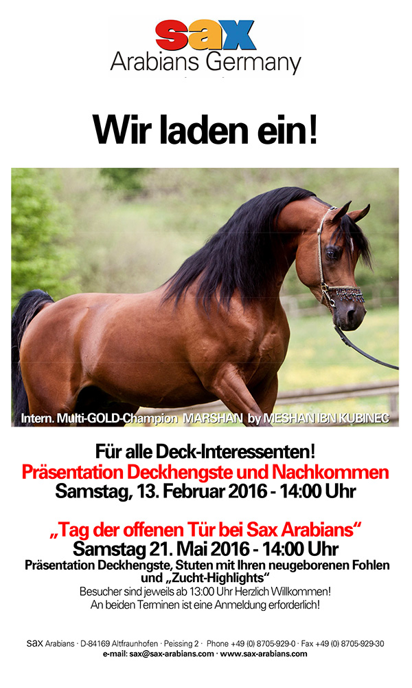 Sax Arabians Germany, Wir laden ein! 2016