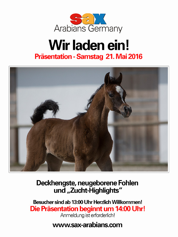 The famous german Stud of Arabian Horses invites the public at its traditional presentation/show of stallions, mares and foals, on saturday the 21st of May 2016, at Altfraunhofen, close to Munich.