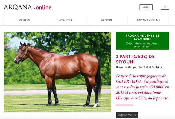 Les ventes aux enchres ARQANA 2015