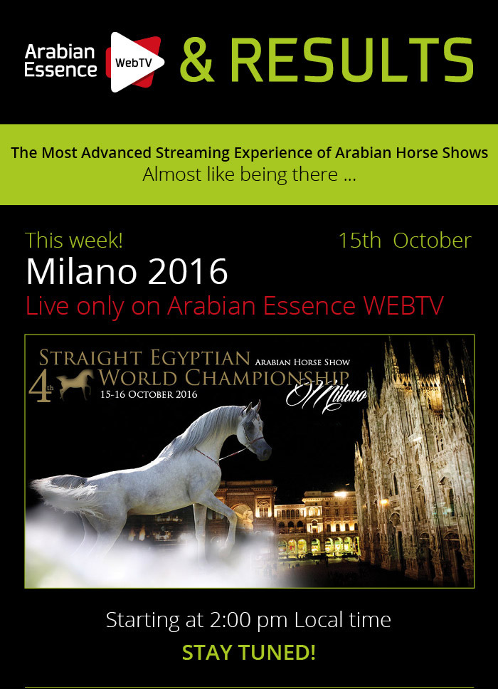 MILANO 2016 STRAIGHT EGYPTIAN WORLD CHAMPIONSHIP - THIS WEEK - LIVE ONLY ON ARABIAN ESSENCE WEBTV