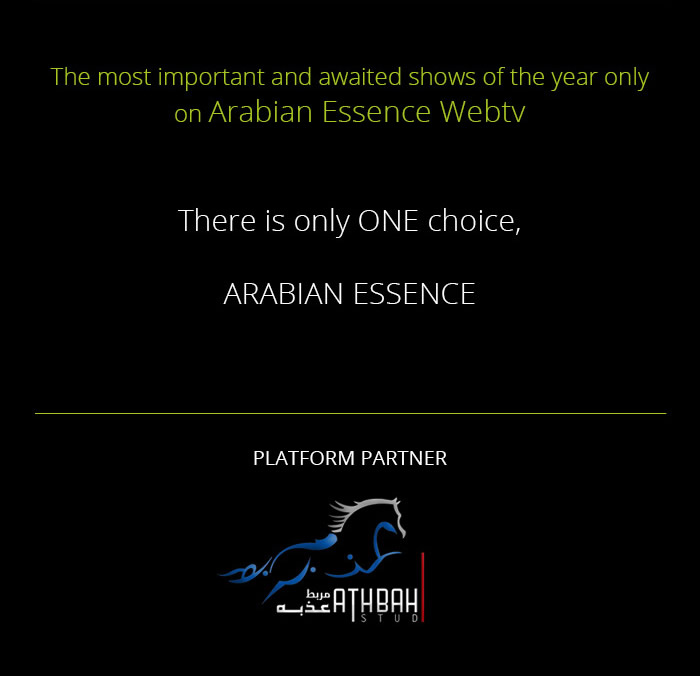 MILANO 2016 STRAIGHT EGYPTIAN WORLD CHAMPIONSHIP - THIS WEEK - LIVE ONLY ON ARABIAN ESSENCE WEBTV