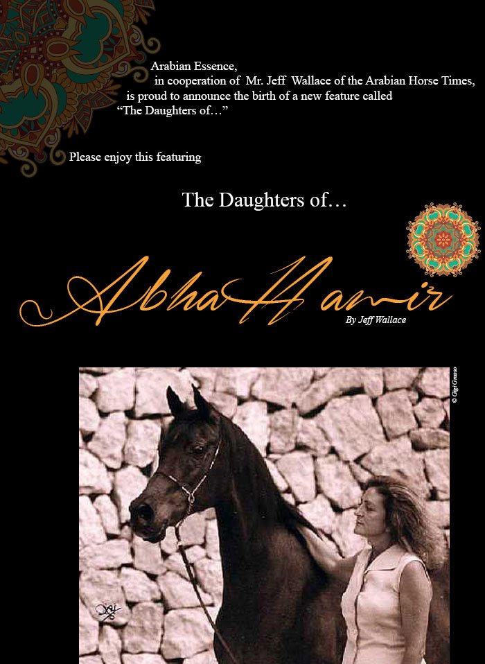 The Daughters of... Abha Hamir