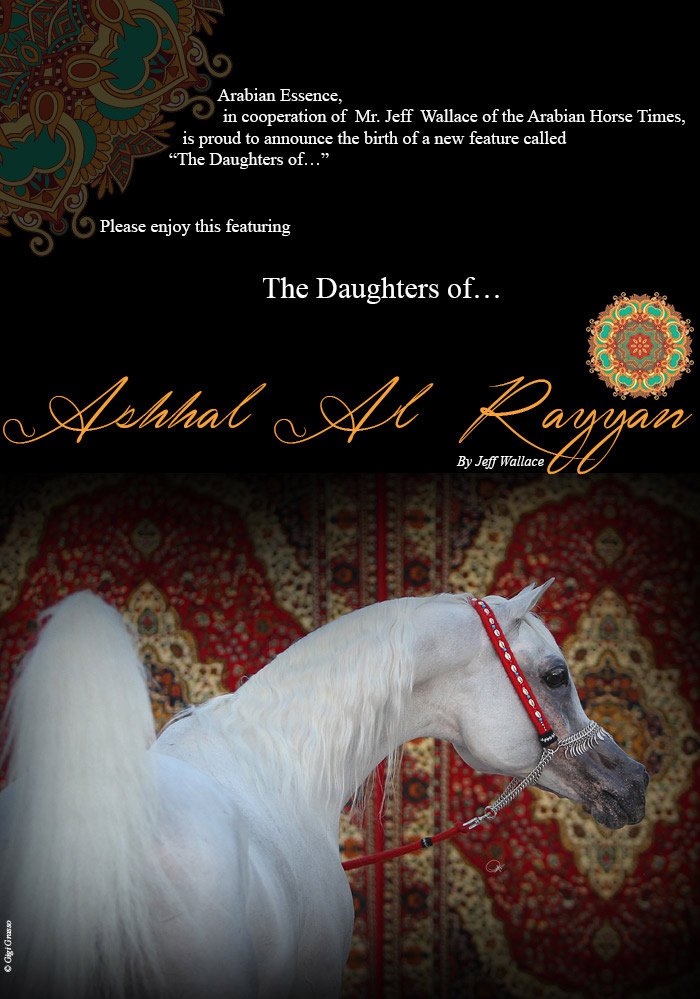 The Daughters of... Ashhal Al Rayyan